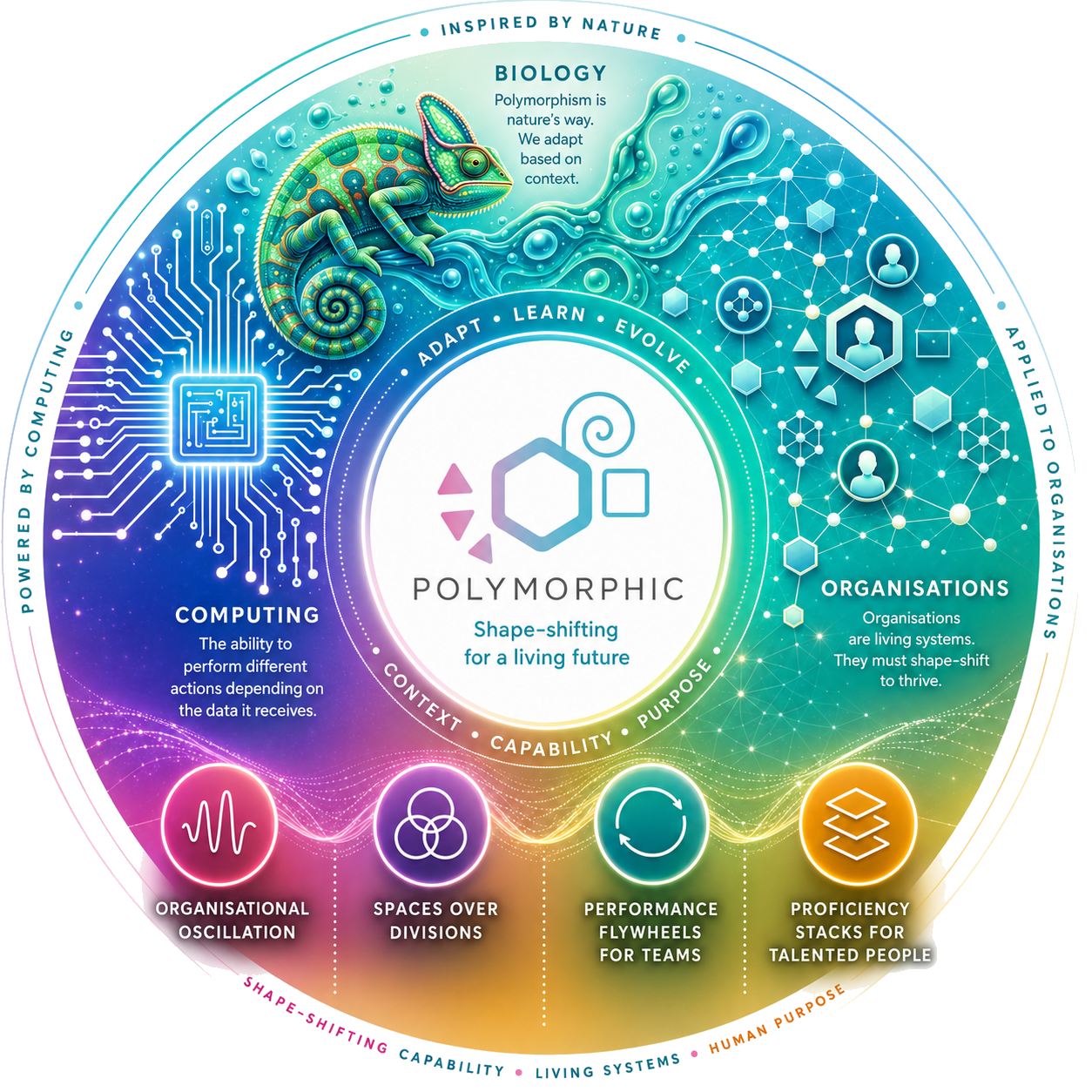 The Polymorphic wheel — shape-shifting for a living future, drawing on biology, computing and organisations as living systems